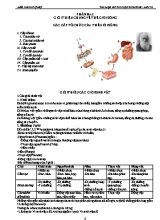 Tài liệu ôn thi học sinh giỏi môn Sinh học Lớp 10 - Phần hai Giới thiệu chung về thế giới sống. Các cấp tổ chức của thế giới sống